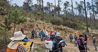 Desmiente Mujeres Organizadas de Tlaxcala informe oficial sobre incendio en Atltzayanca 
