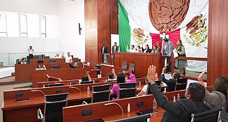 Urgente exhorto del OCPA para mejorar la protección animal en Tlaxcala