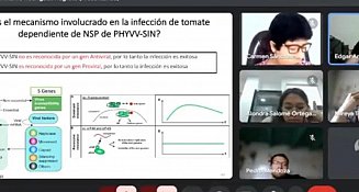 Ciclo de Seminarios Virtuales: Conocimientos Clave sobre Biodiversidad y Medio Ambiente