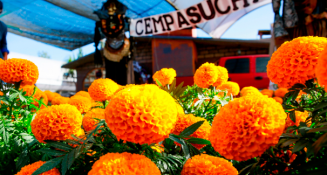 Las flores de cempasúchil conquistan Nueva York en el Día de Muertos