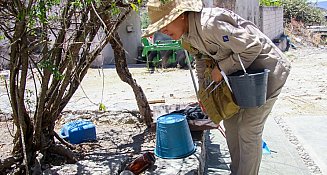 Dengue en Puebla: casos bajan 81% durante 2025