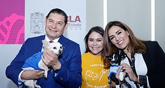 Gobernador de Puebla asegura cero tolerancia al maltrato animal y a menores