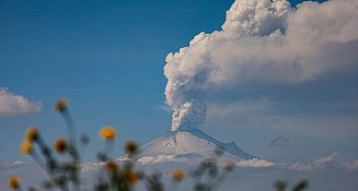 ¡Impresionante fumarola del Popocatépetl! Monitoreo constante en Tlaxcala