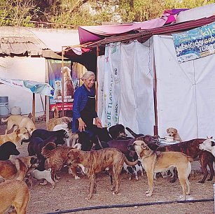 Activista enfrenta obstáculos legales en construcción de refugio canino en Amaxac