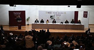 Foro de Consulta para el PND 2025-2030: México traza su futuro sustentable