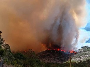 Graves incendios forestales arrasan zonas clave de Tlaxcala en 2025