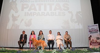 Puebla refuerza el bienestar animal con el foro “Patitas Imparables”