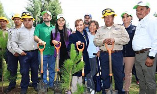 Encabezan jóvenes Jornada de Reforestación en Tlaxcala