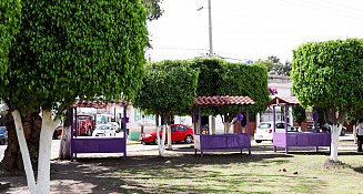 Lleva Guadalupe Cuautle “Apropiación Violeta” a Concepción La Cruz con acciones de prevención y rehabilitación