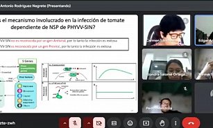 Ciclo de Seminarios Virtuales: Conocimientos Clave sobre Biodiversidad y Medio Ambiente