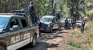 Operativo de seguridad en La Malinche asegura 91 troncos de tala ilegal