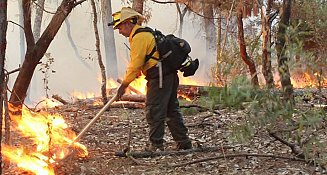 Los incendios forestales en Tlaxcala se duplican en 2024: Impactos y soluciones