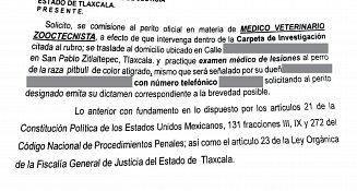 Exige OCPA a PGJE investigacion por caso de maltrato animal en Ixtenco