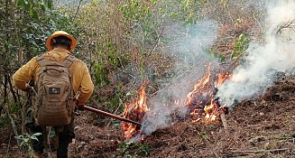 Reducción histórica de incendios forestales en Puebla
