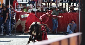 Vive la emoción de la “Panotlada” en la Feria de Panotla: tradición y adrenalina