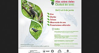 Festival Alas Sobre Rieles 2025: arte, ciencia y naturaleza en Puebla