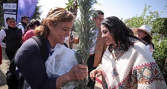 Encabeza Guadalupe Cuautle jornada de adopción de árboles en el Festival Equinoccio 2025