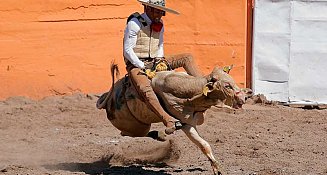 El origen de la Charrería en México