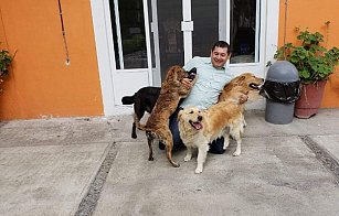 Buscará Armenta que en Puebla se prohíba la venta de perros y gatos