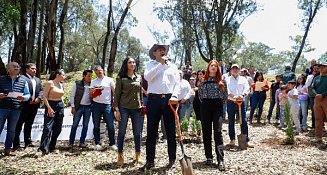 Medio Ambiente anuncia programa de reforestación con inversión de 14 mdp