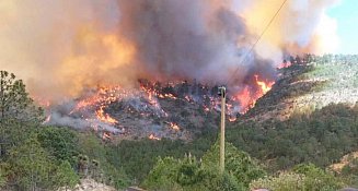 Detienen a sospechosos por incendios en Puebla y Tlaxcala: “Son ecocidas”
