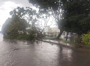 Lluvias en Puebla causan daños; Protección Civil reporta saldo blanco