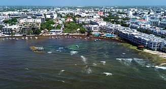 UNAM alerta sobre un récord de sargazo que podría colapsar el Caribe