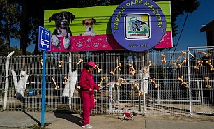 ¡Nuevo parque para perros en Loma Bonita! Un espacio seguro y divertido