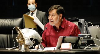 Senado de México condena declaraciones del presidente del CED de la ONU 