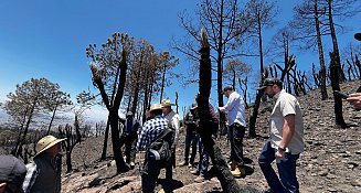 Reforestarán cerro San Gabriel tras incendio en Atltzayanca