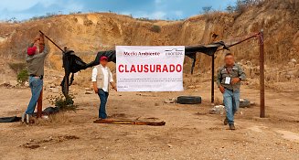 Profepa clausura predio en Chiapas por daño ambiental y tala ilegal