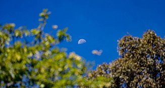 Fenómeno lunar sorprende al amanecer: Tlaxcala se ilumina con un brillo inusual