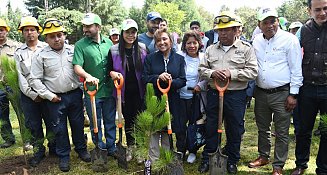 Cierra Mes de la Juventud con reforestación de 20 mil árboles en Tlaxcala