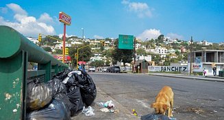 La basura en Tlaxcala: Urge colaboración ciudadana y mejor recolección