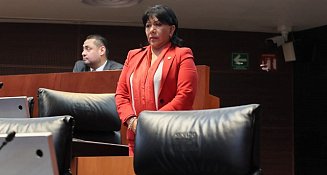 Se manifiesta Anabell Ávalos contra Reformas de la 4T desde el Senado 