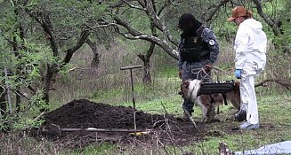 Terror en Michoacán: los cuerpos de 12 personas desaparecidas son hallados dentro de una "narcofosa"