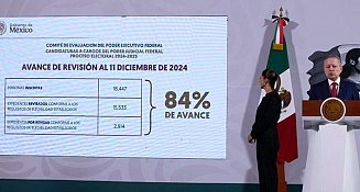 Comité de evaluación del Poder Ejecutivo avanza 84% en revisión de registros