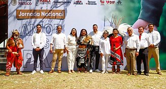 San Pedro Cholula, referente estatal en materia de movilidad y erradicación de violencia