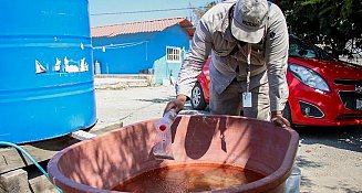 Dengue en Puebla: 4,574 casos acumulados y medidas para prevenir contagios