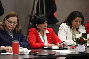 "Aquí estaremos siempre defendiendo a los mexicanos": se pronuncia Anabell Ávalos ante Senado