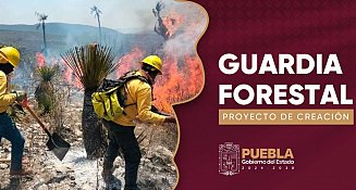 La Guardia Forestal en Puebla: clave para combatir incendios y reforestar