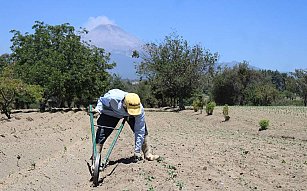 2024 será un año prometedor para el campo tlaxcalteca, asegura la SIA