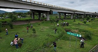 Reforestan puente Cantarranas con más de 100 árboles