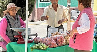 En apoyo a la economía Gobierno Municipal invita al Tianguis Agropecuario