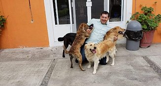 Buscará Armenta que en Puebla se prohíba la venta de perros y gatos