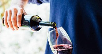 Malbec: el vino perfecto para disfrutar en primavera