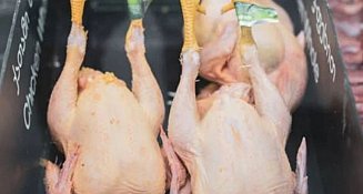 Trucos para elegir y conservar el pollo fresco en el supermercado