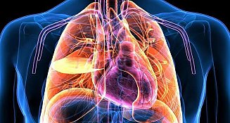 IMSS Tlaxcala alerta: protégete de enfermedades respiratorias