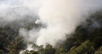 Detienen a dos en Puebla por incendios forestales 