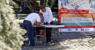 Ayuntamiento de Cholula invita a participa en la iniciativa "Verde Navidad"